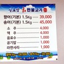 실로암민물고기