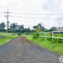 뷰 제주하늘 이미지