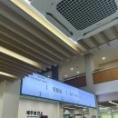 제주시보건소 | 제주 B형간염 예방접종 제주보건소 후기 가격