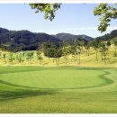 프린세스 골프클럽 이미지