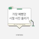 하귀블루팜점핑 이미지