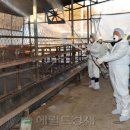 우종 축산 헤럴드경제