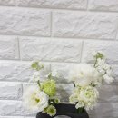 꽃드림농원