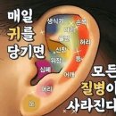 맛도좋고 혈압을 낮춰주는 식품7가지 이미지