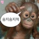 레츠댄스학원 이미지