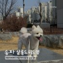 살롱드위드 이미지