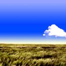 푸른초원 이미지