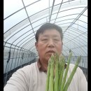 김완태농장 이미지