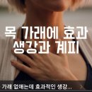 엄마의 반찬