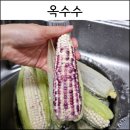 JI농장2 | 강아지 옥수수