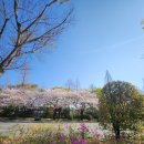 창원대로-1 이미지