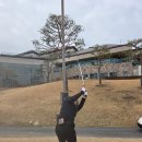 파인골프 | 용인 골프장 캐슬파인CC 정례 골프모임 명랑 라운딩 후기