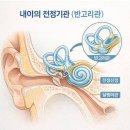 왜 노인들은 잘 넘어지나? 내이전정 기능장애 이미지