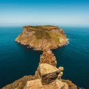 뉴대한여행사 이미지