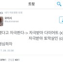 야돼지다 이미지