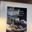 벌교건재 | 만복국수집 진주호탄점/분위기&amp;안주 맛집/근대화 감성