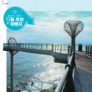 스위트투어(주) 이미지