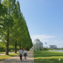 이팝미용 이미지