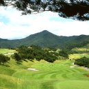 [마감]8월28일 (수)경상방답사투어 NO.5 동부산 CC 이미지
