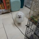 호텔루이 Daum카페