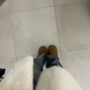 솔백한의원 | 화정역 속눈썹펌 추천 꽁쥬아 화정점, 30분 만에 완성된 케라틴 클리닉 펌 대만족 후기!