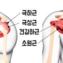 솔재활의학과의원 이미지