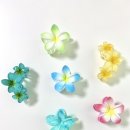 사이다소프트 이미지