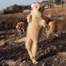 엔플러스 피씨카페 이미지