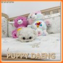 꼬리치는 강아지 | 꼬리 치는 비타민이 찾아왔어요! 홍성강아지분양처 퍼피댕 입양 후기