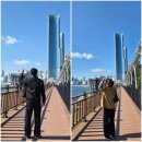 블루파크 | [공지] 부산 블루라인파크 해변 열차 예약 이용 후기 송정 미포 왕복