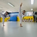 스타태권도장 이미지