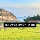 신화로(3-216) | 제주 2박3일 여행코스 + 경비 총정리 | 2026년 여행 비용 공개