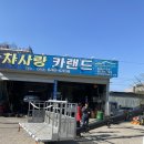 차사랑카랜드 이미지