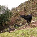 춘이농장 이미지