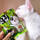 냠냠펫푸드 이미지