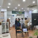뉴카튼 이미지