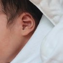 4월 :: ❁ 활짝 필거야 ❁