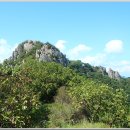 스톤게이트C.C 이미지