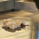 구로마쯔 이미지