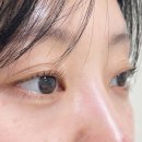 빛나리 | [대전서구] 탄방동 더빛나리 속눈썹펌 후기 대전속눈썹펌 추천