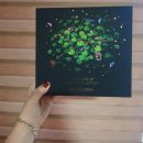 해피병풀 이미지