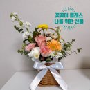 힐링꽃꽂이 | 꽃꽂이 클래스 후기, 힐링 꽃바구니 만들기