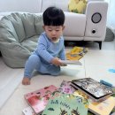 [공지] 내돈내산 &#39;그레이트북스 놀라운자연&#39; 자연관찰전집 후기 (15개월아기, 돌아기, 두돌아기 책 추천)