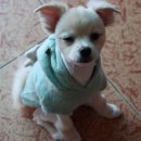 미스카페 이미지
