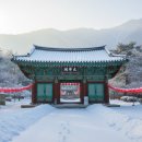 만연사 | 화순 만연사 설경 여행 붉은 연등과 하얀 눈의 조화 겨울 힐링 명소