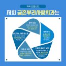 뿌리사랑치과 네이버블로그