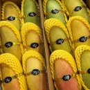 마하 주식회사 이미지