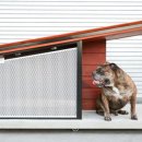 도그하우스 이미지