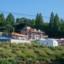 돌산민박 이미지