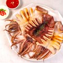 짱물회회센타 | 포항 오천 맛집 대박회센타 물회맛집 (솔직후기)